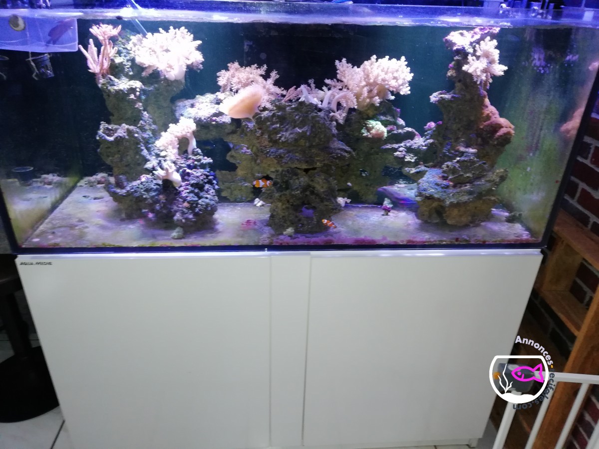 Aquarium aqua medic 420litres