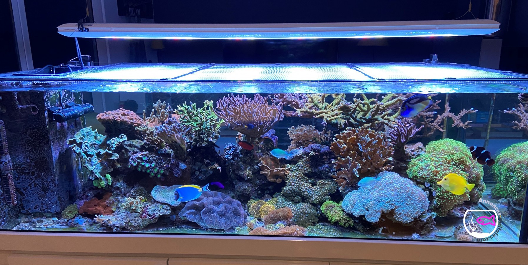 Aquarium sur mesure 180x80x55 / 19mm Extra Blanc