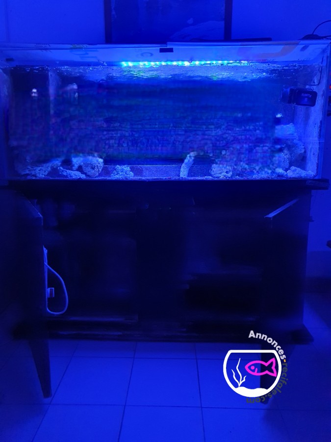Don aquarium 600 litres Sps